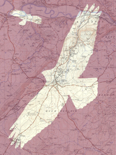 A bird and Ordnance Survey map area of your choice. A custom or personalised print.