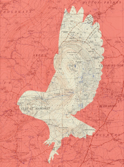 A bird and Ordnance Survey map area of your choice. A custom or personalised print.